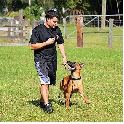 Zgardă electrică dresaj câini – 3 funcții, rază 1000 m